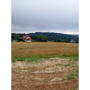 Działka budowlana 4000 m² | Gorzków, gmina Wieliczka | MPZP 202MN | bez pośredn