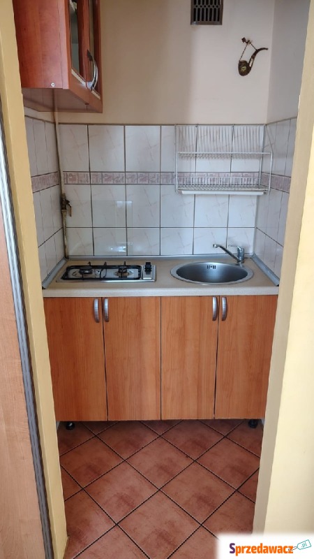 Mieszkanie jednopokojowe Kluczbork,   25 m2, pierwsze piętro - Do wynajęcia