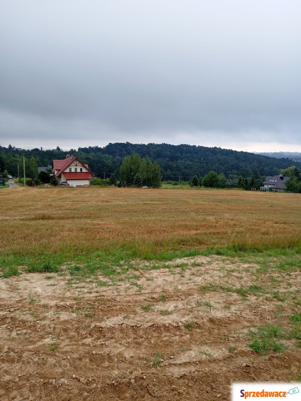 Działka budowlana Gorzków sprzedam, pow. 4000 m2  (40a)