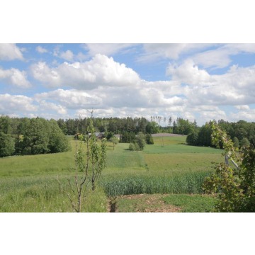 Działka siedliskowa na sprzedaż, 4819m², Sadłowina