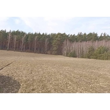 Działka budowlana na sprzedaż, 1231m², Osie, Jagodowa