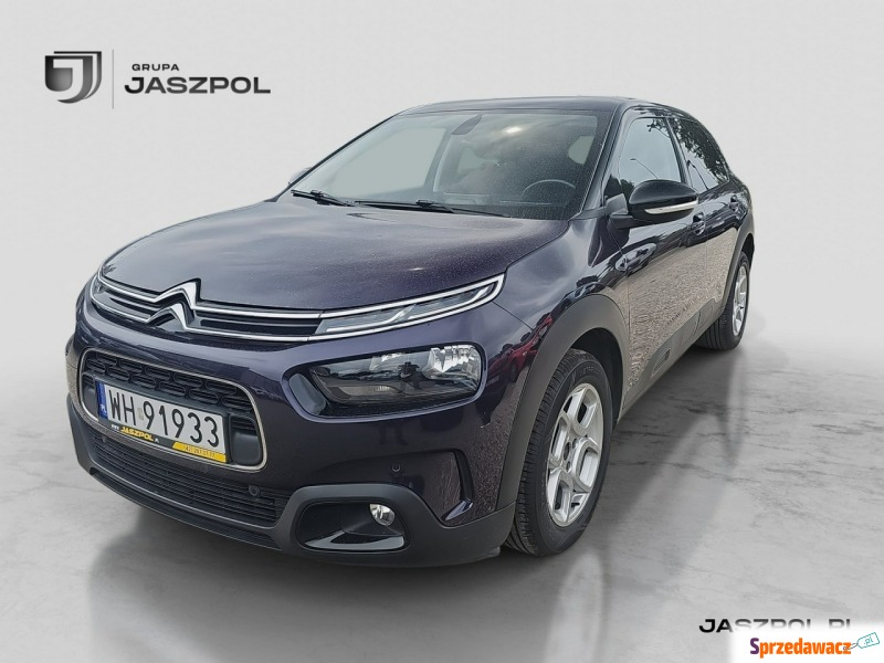 Citroen C4 Cactus  Hatchback 2019,  1.2 benzyna - Na sprzedaż za 35 500 zł - Łódź