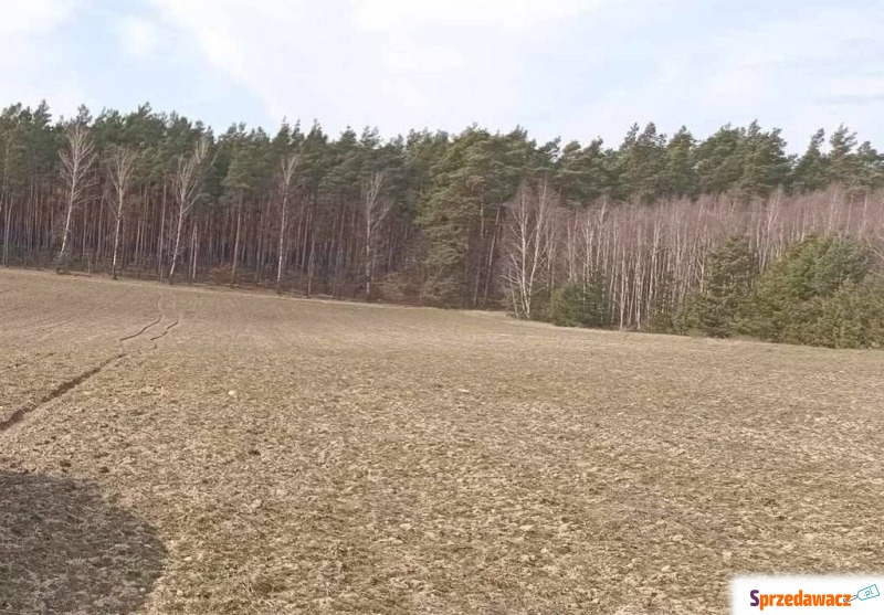 Działka budowlana Osie sprzedam, pow. 1231 m2  (12.3a)