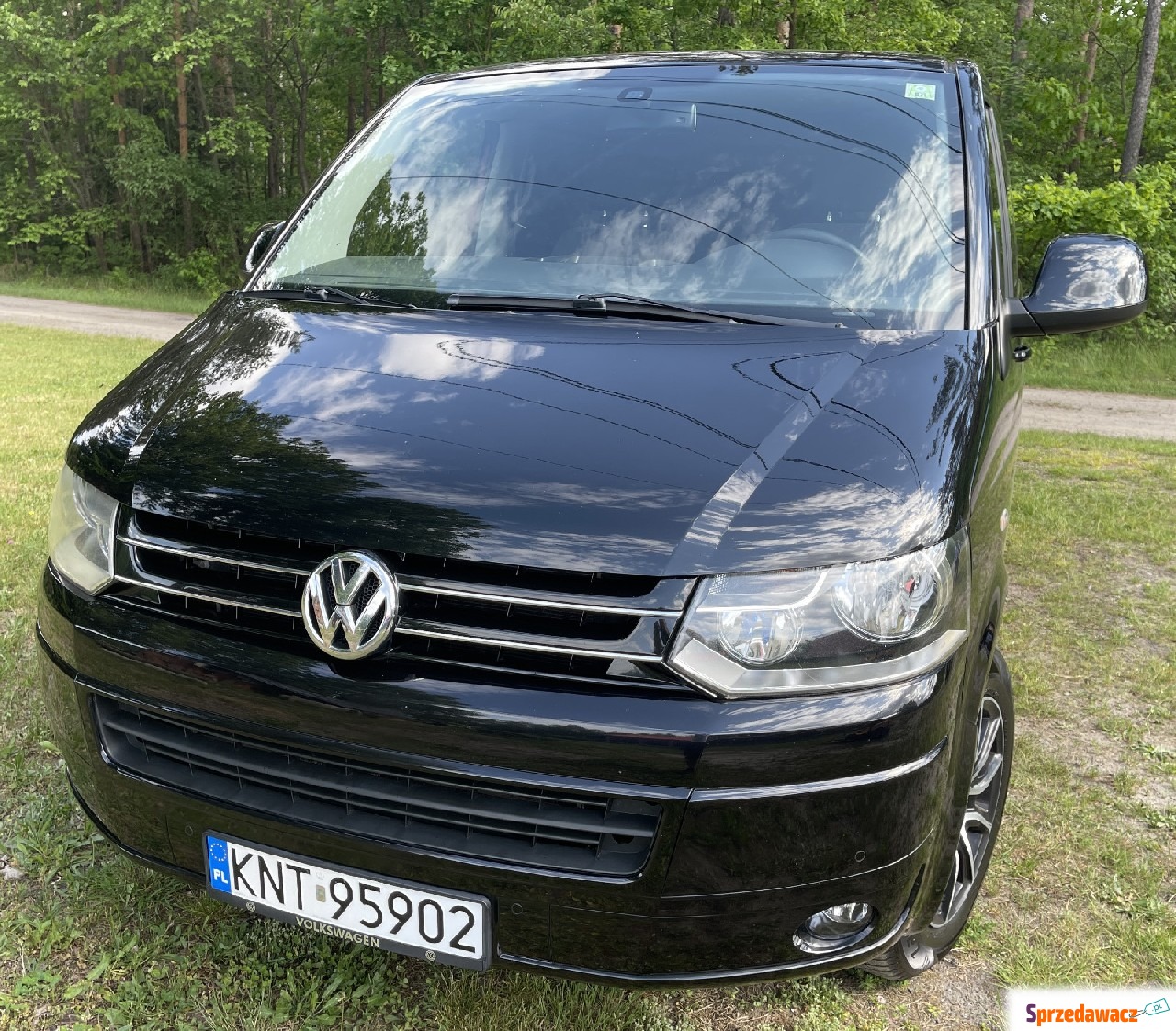 Volkswagen Caravelle 2010