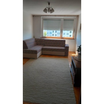 Mieszkanie dwupokojowe Wrocław,   55 m2 - Do wynajęcia - zdjęcie 3