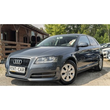 Audi A3  Hatchback 2010,  1.6 diesel - Na sprzedaż za 17 900 zł - Częstochowa - zdjęcie 2