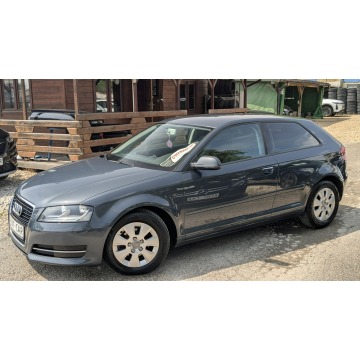Audi A3  Hatchback 2010,  1.6 diesel - Na sprzedaż za 17 900 zł - Częstochowa - zdjęcie 4