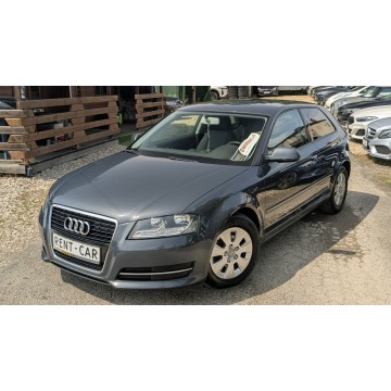 Audi A3  Hatchback 2010,  1.6 diesel - Na sprzedaż za 17 900 zł - Częstochowa - zdjęcie 3