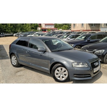 Audi A3  Hatchback 2010,  1.6 diesel - Na sprzedaż za 17 900 zł - Częstochowa - zdjęcie 7