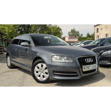 Audi A3  Hatchback 2010,  1.6 diesel - Na sprzedaż za 17 900 zł - Częstochowa - zdjęcie 8