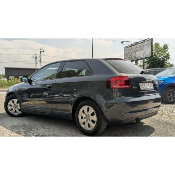 Audi A3  Hatchback 2010,  1.6 diesel - Na sprzedaż za 17 900 zł - Częstochowa - zdjęcie 9
