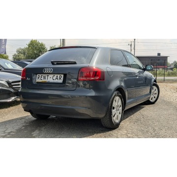 Audi A3  Hatchback 2010,  1.6 diesel - Na sprzedaż za 17 900 zł - Częstochowa - zdjęcie 12