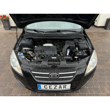 Kia Ceed  Kombi 2008,  1.4 benzyna - Na sprzedaż za 9 900,00 zł - Konradów - zdjęcie 9