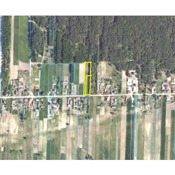 Działka Raków sprzedam, pow. 2559 m2  (25.6a), uzbrojona - zdjęcie 6