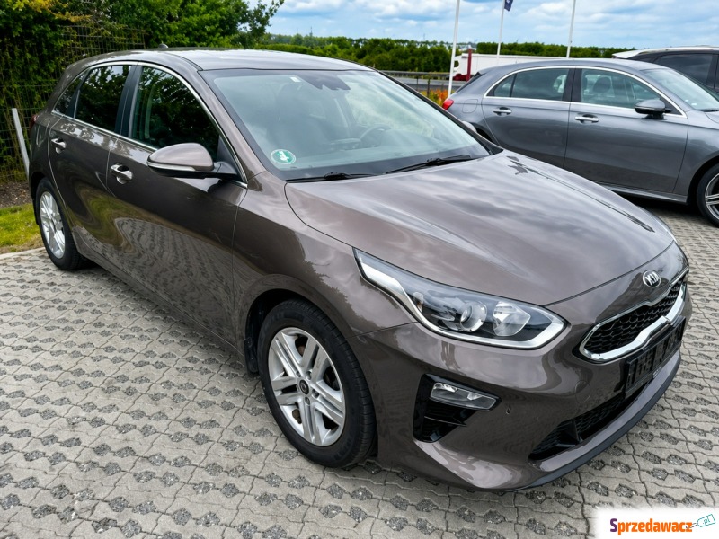 Kia Ceed  Hatchback 2019,  1.4 benzyna - Na sprzedaż za 49 700 zł - Sadlno