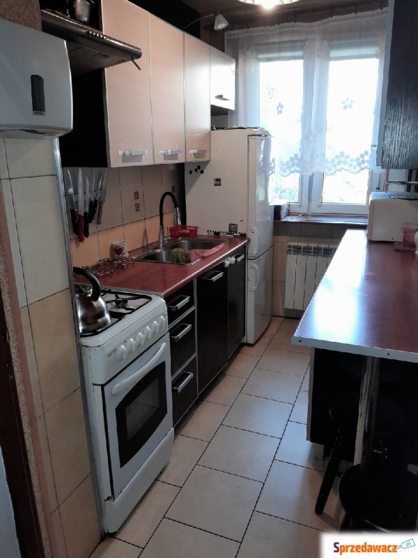 Mieszkanie dwupokojowe Warszawa - Rembertów,   35 m2, parter - Do wynajęcia