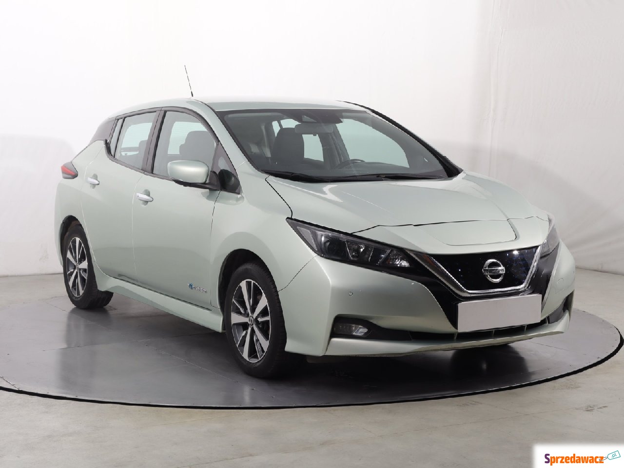 Nissan Leaf 2019