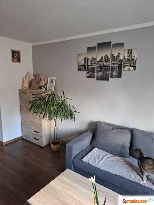Mieszkanie na sprzedaż, 47m², 2...