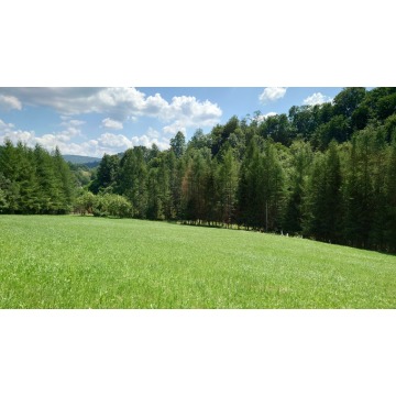 Działka budowlana Solina sprzedam, pow. 3037 m2  (30.4a), uzbrojona - zdjęcie 1