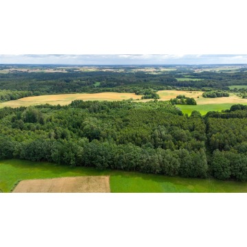 Działka na sprzedaż Nowe Mieczysławy  - Działki na sprzedaż - Nowe Mieczysławy - zdjęcie 6