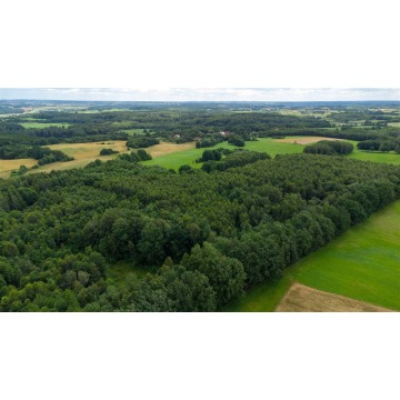 Działka na sprzedaż Nowe Mieczysławy  - Działki na sprzedaż - Nowe Mieczysławy - zdjęcie 2