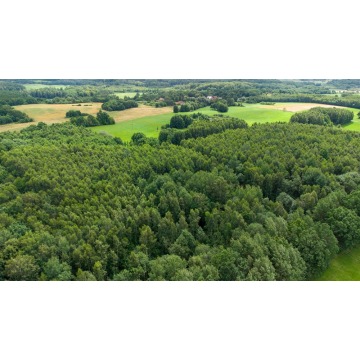 Działka na sprzedaż Nowe Mieczysławy  - Działki na sprzedaż - Nowe Mieczysławy - zdjęcie 1