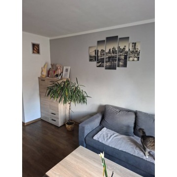 Mieszkanie dwupokojowe Łazdoje,   47 m2 - Sprzedam - zdjęcie 8