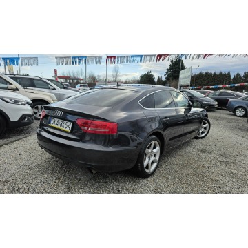 Audi A5  Hatchback 2009,  2.0 benzyna - Na sprzedaż za 32 800 zł - Świdnica - zdjęcie 5