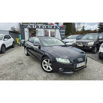 Audi A5  Hatchback 2009,  2.0 benzyna - Na sprzedaż za 32 800 zł - Świdnica - zdjęcie 6