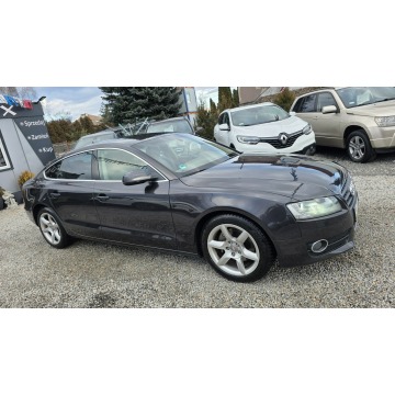 Audi A5  Hatchback 2009,  2.0 benzyna - Na sprzedaż za 32 800 zł - Świdnica - zdjęcie 11