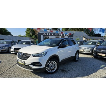 Opel Grandland X  SUV 2019,  1.2 benzyna, automat - Na sprzedaż za 53 900 zł - Świdnica - zdjęcie 4
