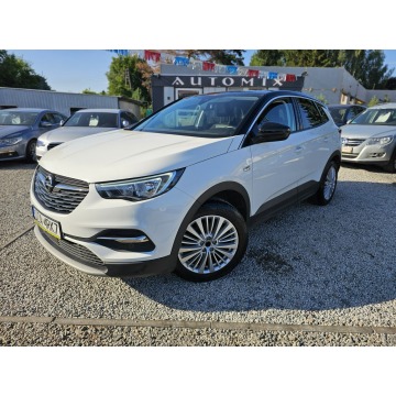 Opel Grandland X  SUV 2019,  1.2 benzyna, automat - Na sprzedaż za 53 900 zł - Świdnica - zdjęcie 3