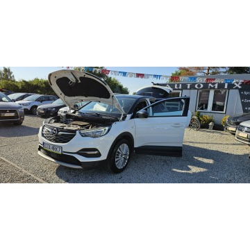 Opel Grandland X  SUV 2019,  1.2 benzyna, automat - Na sprzedaż za 53 900 zł - Świdnica - zdjęcie 10