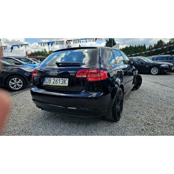 Audi A3  Hatchback 2013,  1.6 diesel, automat - Na sprzedaż za 24 900 zł - Świdnica - zdjęcie 5