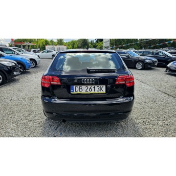 Audi A3  Hatchback 2013,  1.6 diesel, automat - Na sprzedaż za 24 900 zł - Świdnica - zdjęcie 12
