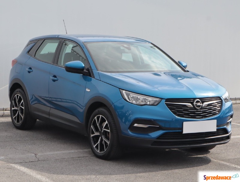 Opel   SUV 2020,  1.2 benzyna - Na sprzedaż za 54 999 zł - Lublin