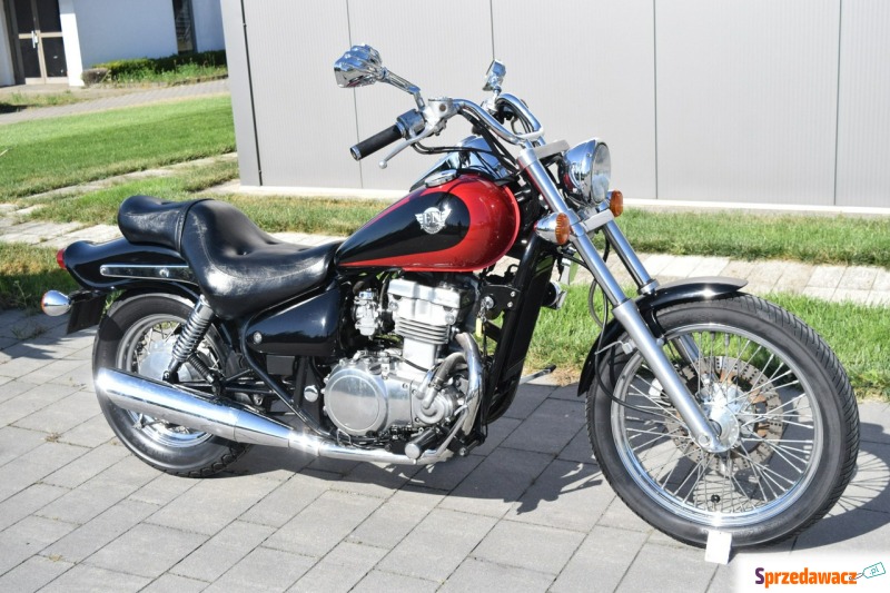 Kawasaki EN - C ładny stan, oryginał, dok. na... - Motocykle cruiser - Śrem