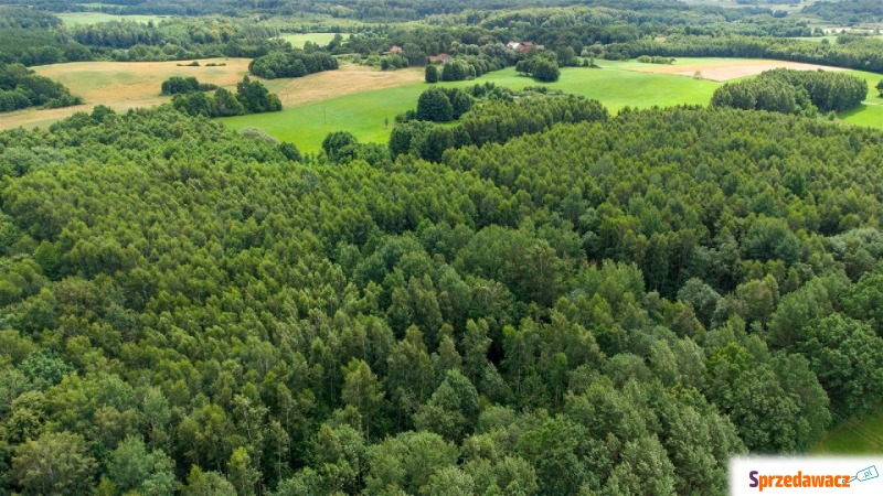 Działka na sprzedaż Nowe Mieczysławy  - Działki na sprzedaż - Nowe Mieczysławy