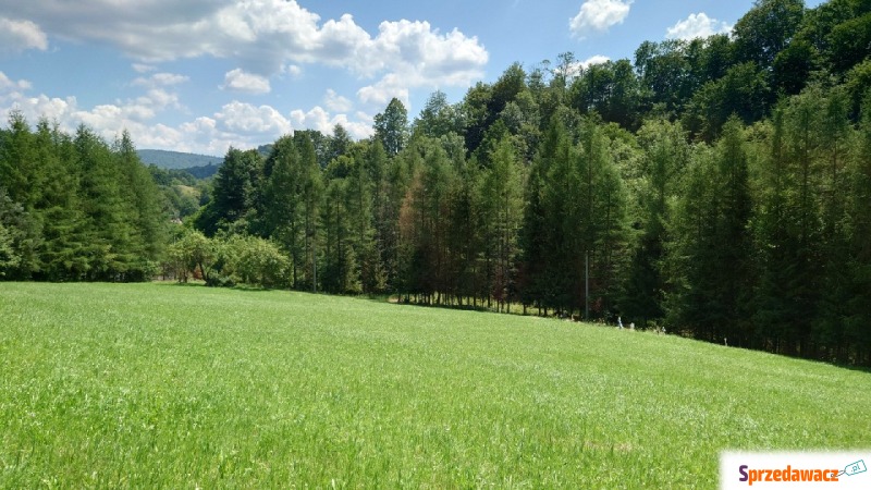 Działka budowlana Solina sprzedam, pow. 3037 m2  (30.4a), uzbrojona