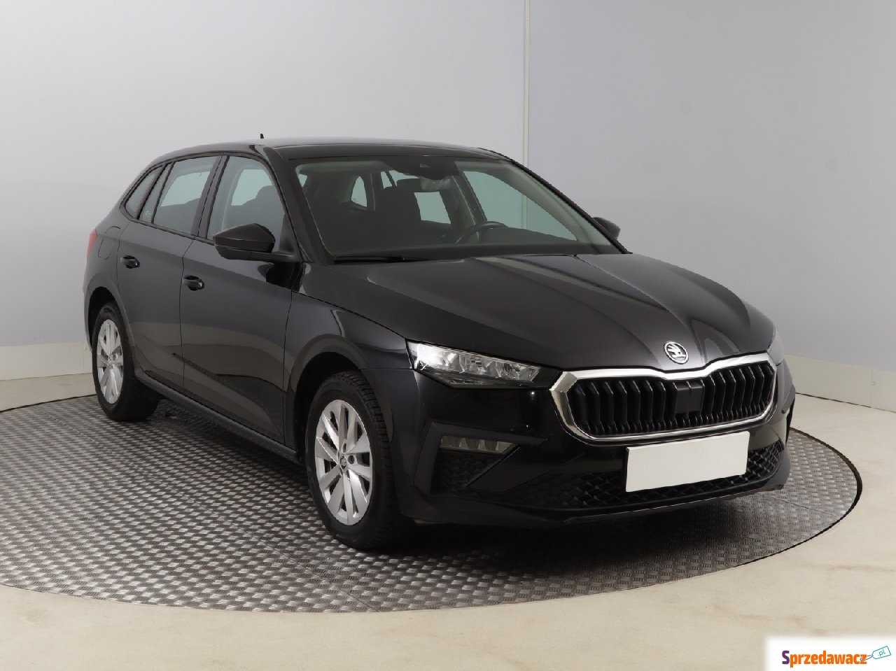 Skoda 2024
