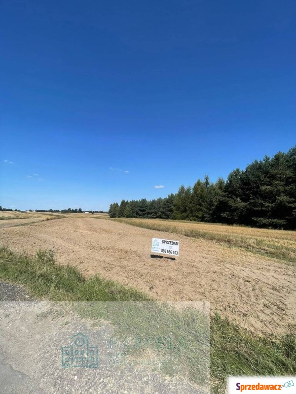 Działka rolna 9 979 m² – Woźni...
