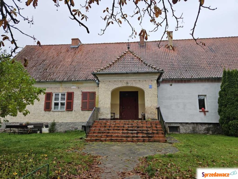 Sprzedaż z wolnej ręki - udział...