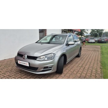 Volkswagen Golf  Kombi 2016,  1.4 benzyna - Na sprzedaż za 39 800 zł - Paproć - zdjęcie 3