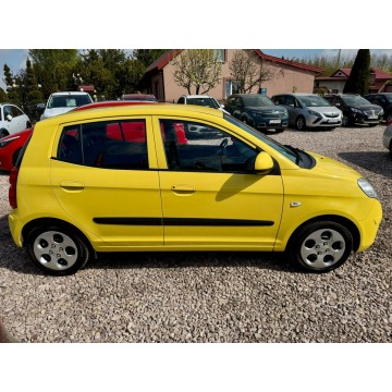 Kia Picanto  Hatchback 2009,  1.1 benzyna - Na sprzedaż za 7 999,00 zł - Szerominek - zdjęcie 4