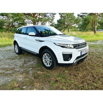 Land Rover Range Rover Evoque  SUV 2015,  2.2 diesel - Na sprzedaż za 48 990 zł - Piła - zdjęcie 3