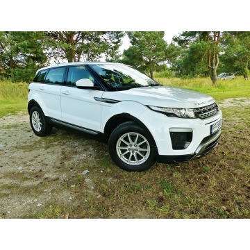 Land Rover Range Rover Evoque  SUV 2015,  2.2 diesel - Na sprzedaż za 48 990 zł - Piła - zdjęcie 5
