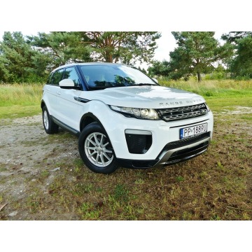 Land Rover Range Rover Evoque  SUV 2015,  2.2 diesel - Na sprzedaż za 48 990 zł - Piła - zdjęcie 4