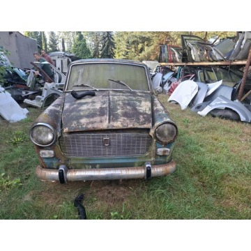 Fiat  1964 - Na sprzedaż za 6 800,00 zł - Malutkie - zdjęcie 2