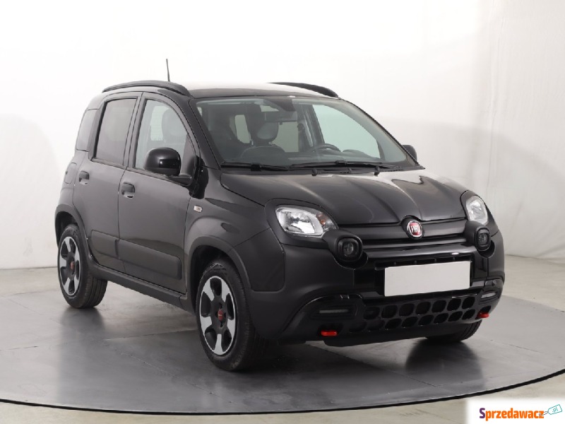 Fiat Panda  Hatchback 2024,  1.0 benzyna - Na sprzedaż za 54 499 zł - Katowice