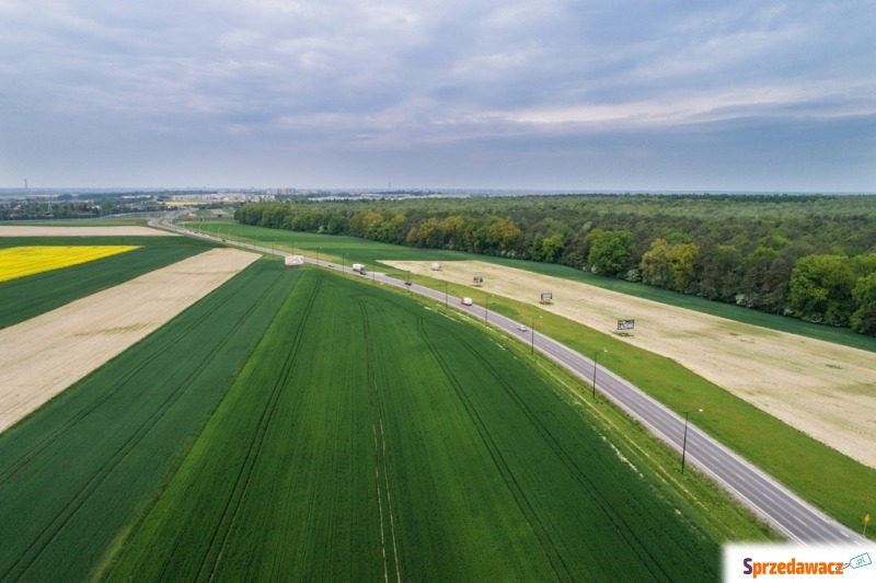 Przetarg - obręb 0006 – Kolonia Krępiec - Działki na sprzedaż - Świdnik